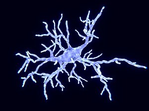 Microglial cell