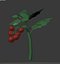 3D model cherry tomato