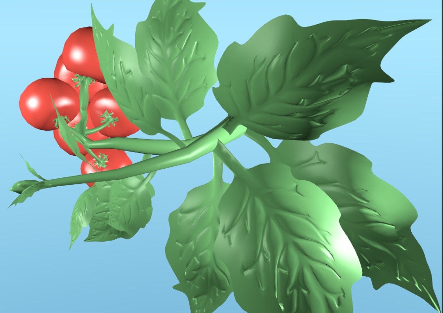 3D model cherry tomato https://p.turbosquid.com/ts-thumb/Vq/gUPETu/Xg2YMS3w/screenshot20180817at3.10.47am/png/1534465386/1920x1080/fit_q87/2713e5b6a4bc5545f7fb69c4cc096bd423161a9f/screenshot20180817at3.10.47am.jpg