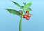 3D model cherry tomato