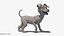 Dog Rigged