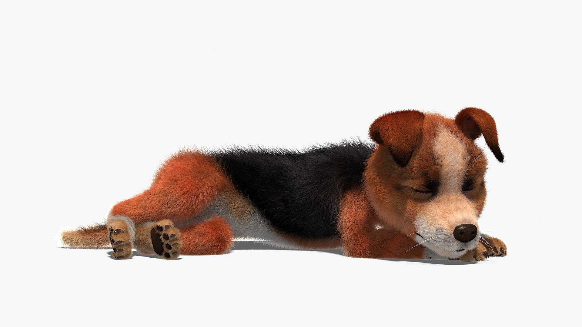 3D character rig dog model https://p.turbosquid.com/ts-thumb/Vq/nK0mPR/ik/dog0050/jpg/1629608343/1920x1080/fit_q87/b032445f0e03756e6b571de3e5cf624465abe415/dog0050.jpg