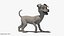 Dog Rigged