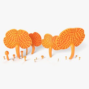 Orange Pore Mushrooms 3D model