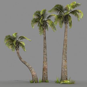 set palm trees 3d max