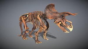Animated Triceratops Skeleton
