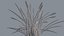 Feather Grass Reed 002 - PBR 4K