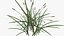 Feather Grass Reed 002 - PBR 4K