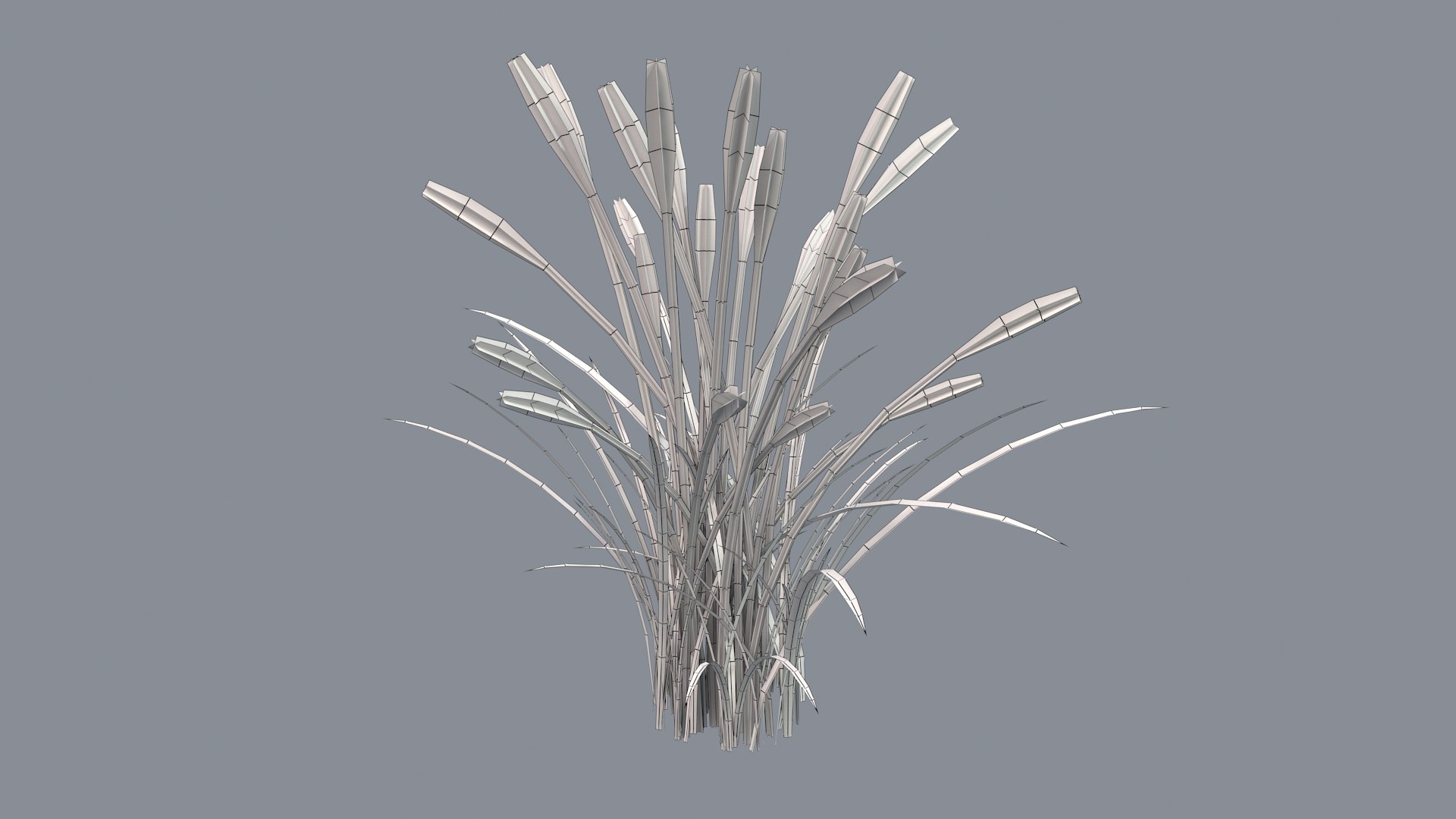 3D feather grass reed 002 model https://p.turbosquid.com/ts-thumb/Vr/6F8dLc/jmzT889H/006/jpg/1581992593/1920x1080/fit_q87/3309540a3c637800e96c6a16e4ed8edd896b20be/006.jpg