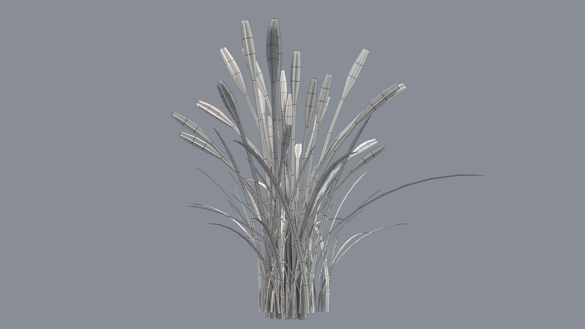 3D feather grass reed 002 model - TurboSquid 1511457