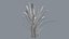 Feather Grass Reed 002 - PBR 4K