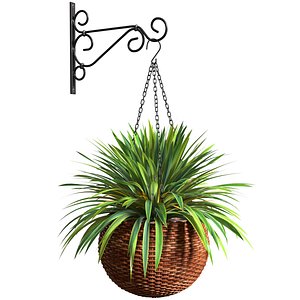 Hanging basket flowerpot rattan pot with flowers