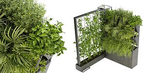 Collection plant vol 246 - blender model