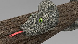 snake 3D model