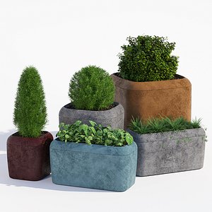 10q qcp 3D model