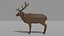 Cartoon Deer Family
