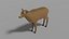 Cartoon Deer Family