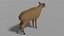 Cartoon Deer Family