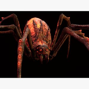 Hell spider 3D