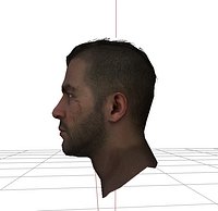 soap head