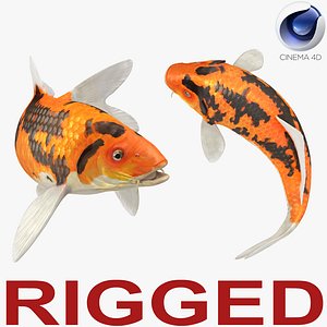 Koi Fish Rigged for Cinema 4D