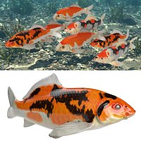 Colorful Koi School Rigged For Blender