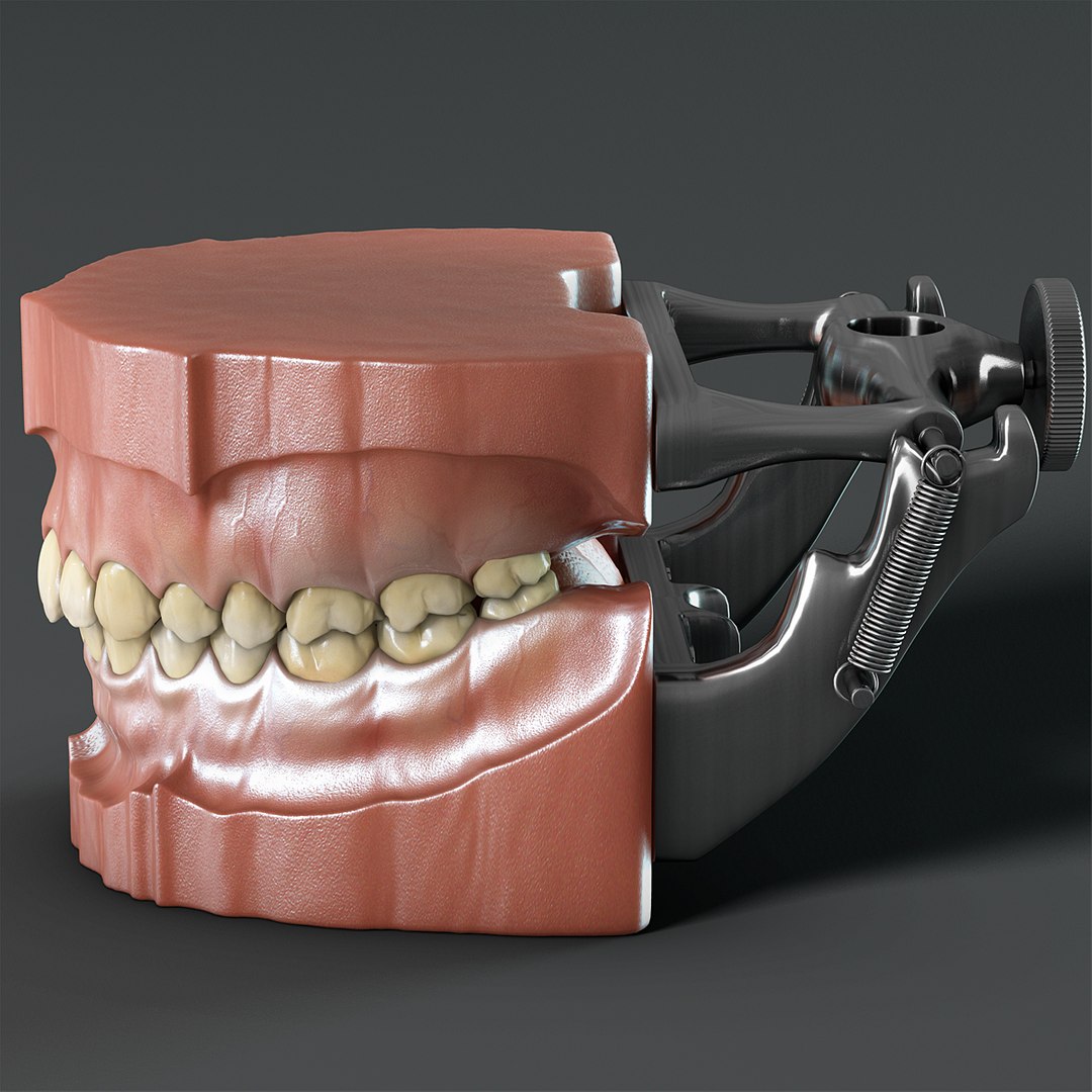 max dontics mouth https://p.turbosquid.com/ts-thumb/Vs/PD5VNv/DoUm0i2V/08/jpg/1321931526/1920x1080/fit_q87/735fa20f43438eff211fae2e61619adff1d9f6d5/08.jpg