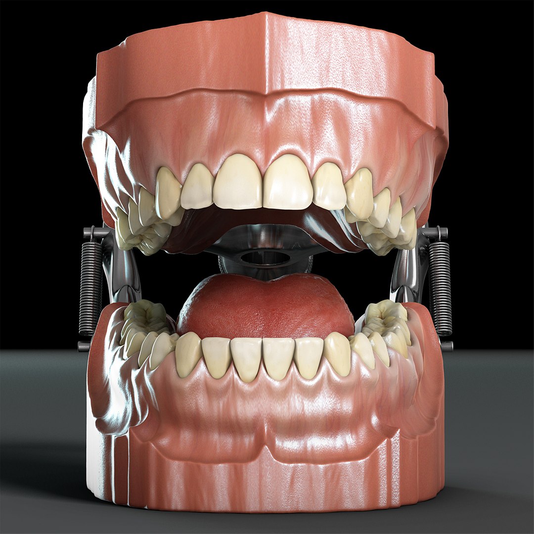 max dontics mouth https://p.turbosquid.com/ts-thumb/Vs/PD5VNv/NIPnIApf/06/jpg/1321931526/1920x1080/fit_q87/f0bbc4e22e94fd5fb3c507806b1a1539d9810d3a/06.jpg