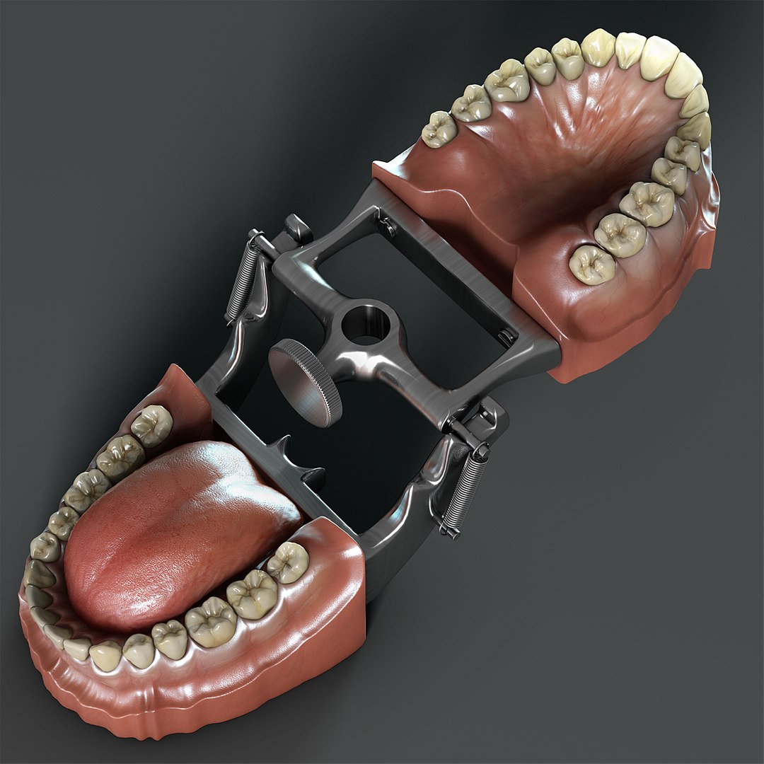 max dontics mouth https://p.turbosquid.com/ts-thumb/Vs/PD5VNv/T067zEAR/02/jpg/1322021237/1920x1080/fit_q87/ed244d6cf35c29e14d81b0e3b25f6b5e64a39093/02.jpg