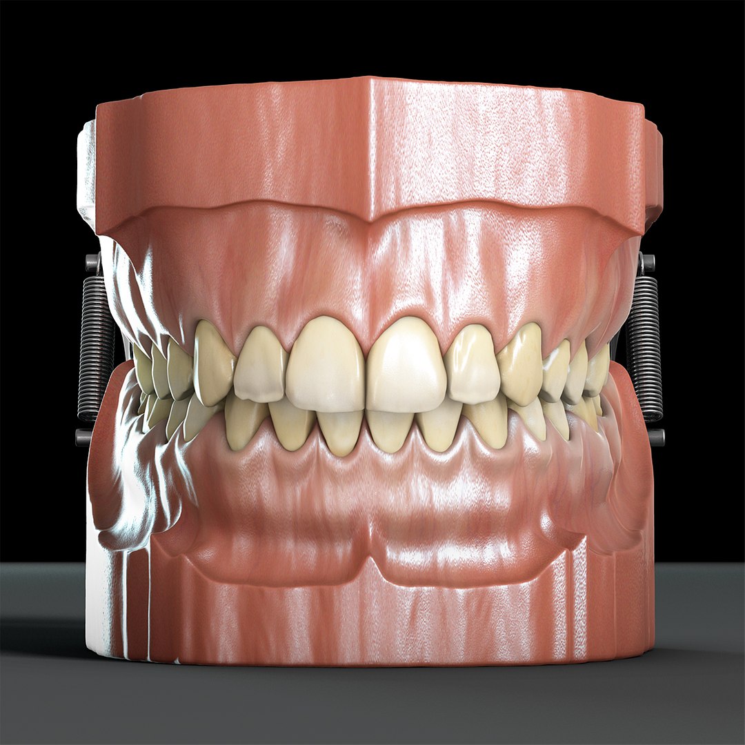 max dontics mouth https://p.turbosquid.com/ts-thumb/Vs/PD5VNv/T0Ja0gRv/07/jpg/1321931526/1920x1080/fit_q87/9c5f134942cb4399beb559fa3fcdcb5a10c4d1bc/07.jpg