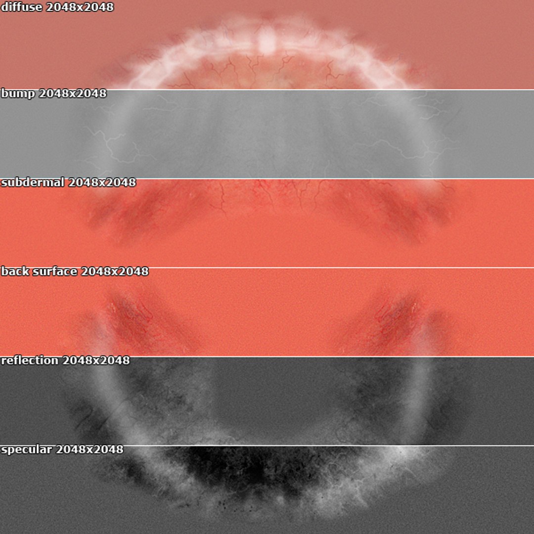 max dontics mouth https://p.turbosquid.com/ts-thumb/Vs/PD5VNv/TvHi1QWA/typodont_gumsmap_info/jpg/1321931526/1920x1080/fit_q87/18cdb9330be0780f0e7157abd5795b7b2ec8faba/typodont_gumsmap_info.jpg