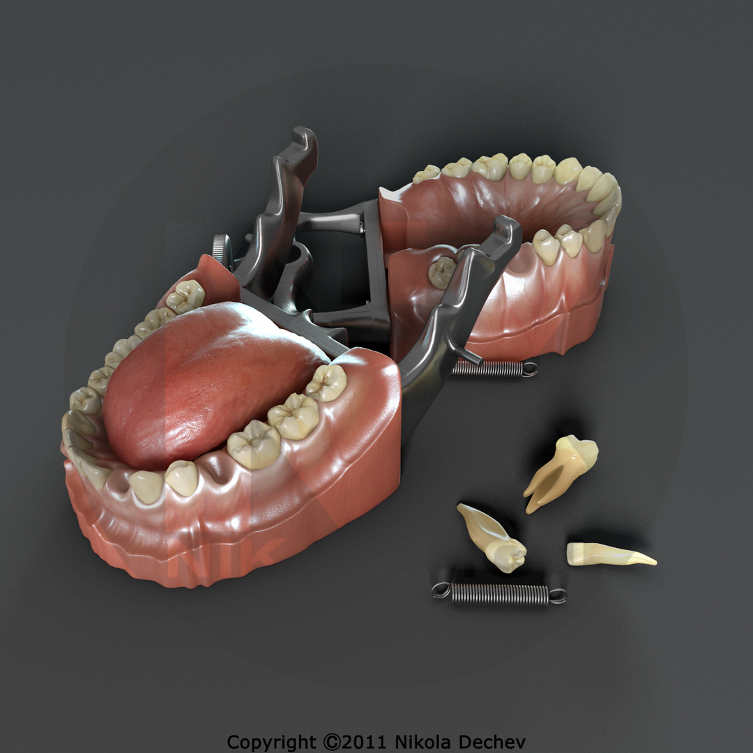 max dontics mouth https://p.turbosquid.com/ts-thumb/Vs/PD5VNv/ZeDeTHAS/360c/jpg/1321931341/1920x1080/turn_fit_q99/fdbaba7ada4653f2fdb7999eec90ca43f043d0b8/360c-1.jpg
