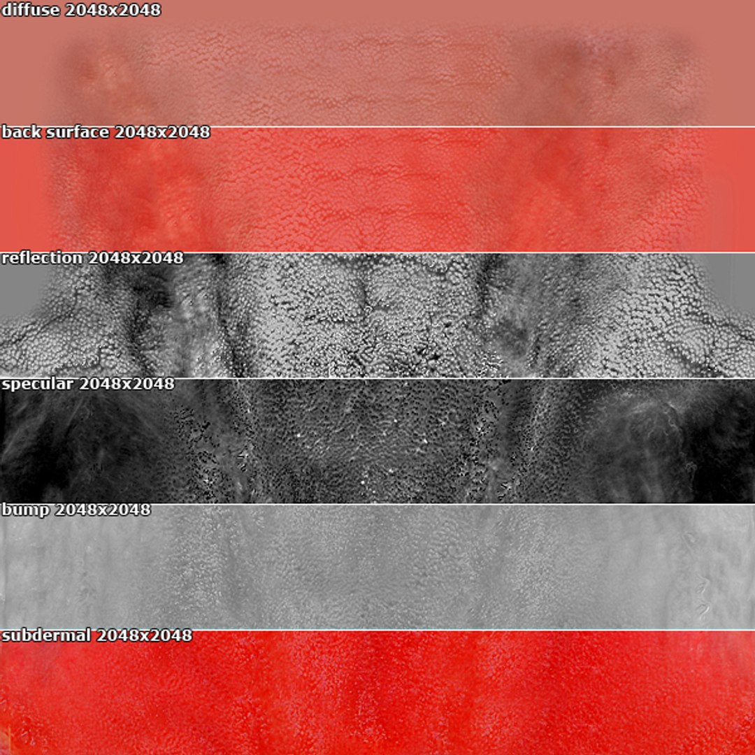 max dontics mouth https://p.turbosquid.com/ts-thumb/Vs/PD5VNv/bAH0GvZx/typodont_tonguemap_info/jpg/1321931526/1920x1080/fit_q87/22ddea2b85f6064c7bd2e31429b445eb4e91d321/typodont_tonguemap_info.jpg