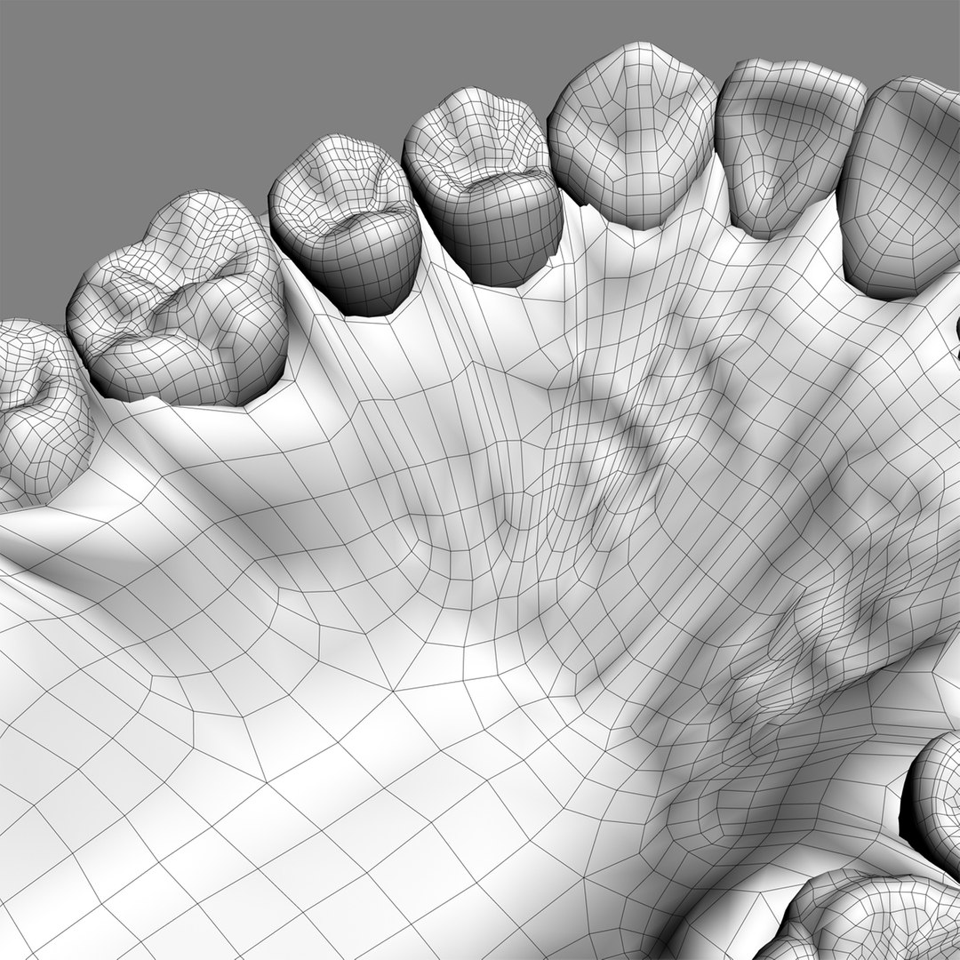 max dontics mouth https://p.turbosquid.com/ts-thumb/Vs/PD5VNv/gOpISoha/11w/jpg/1322021237/1920x1080/fit_q87/5a3c5184d831b3f9f5e523a138983a9a9d662f45/11w.jpg