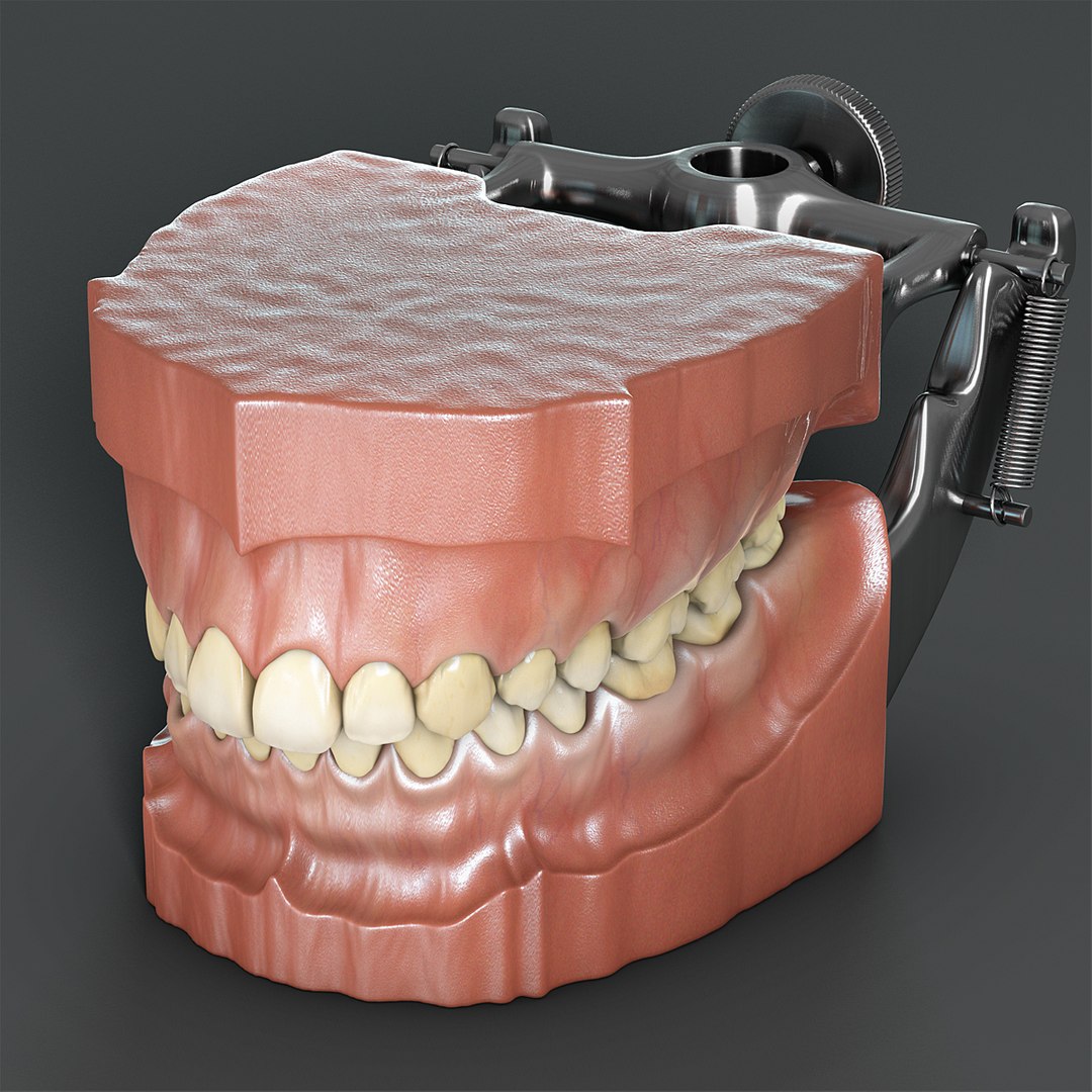 max dontics mouth https://p.turbosquid.com/ts-thumb/Vs/PD5VNv/lCB8opK4/05/jpg/1321931526/1920x1080/fit_q87/fc1eb65db825a07376406b004999e5f1dbed7c47/05.jpg