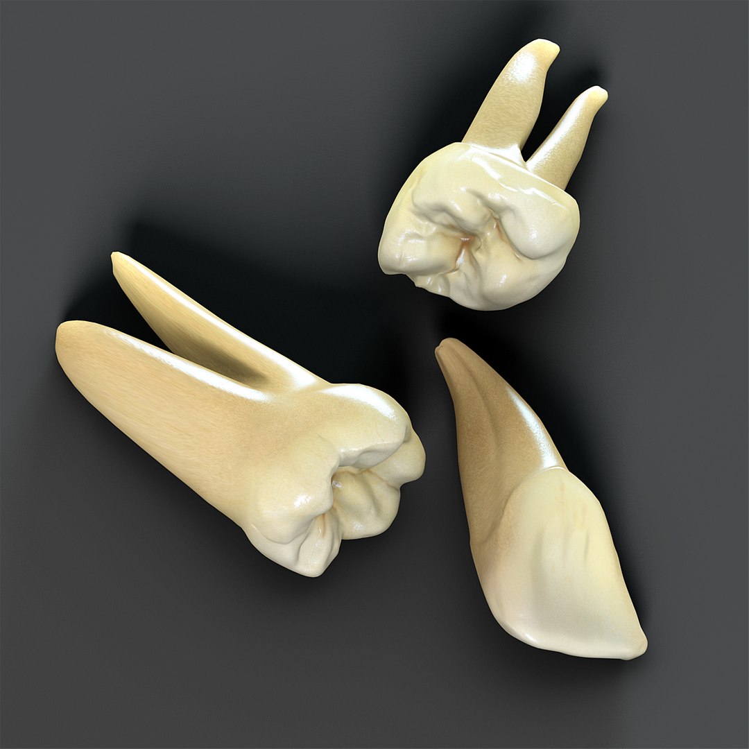 max dontics mouth https://p.turbosquid.com/ts-thumb/Vs/PD5VNv/nPofECKh/09/jpg/1321931526/1920x1080/fit_q87/88ab0fae1da46bd799f0b18539fc368228630475/09.jpg