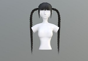 Braids Two Hairstyle