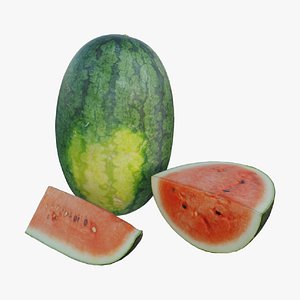 3D watermelon model