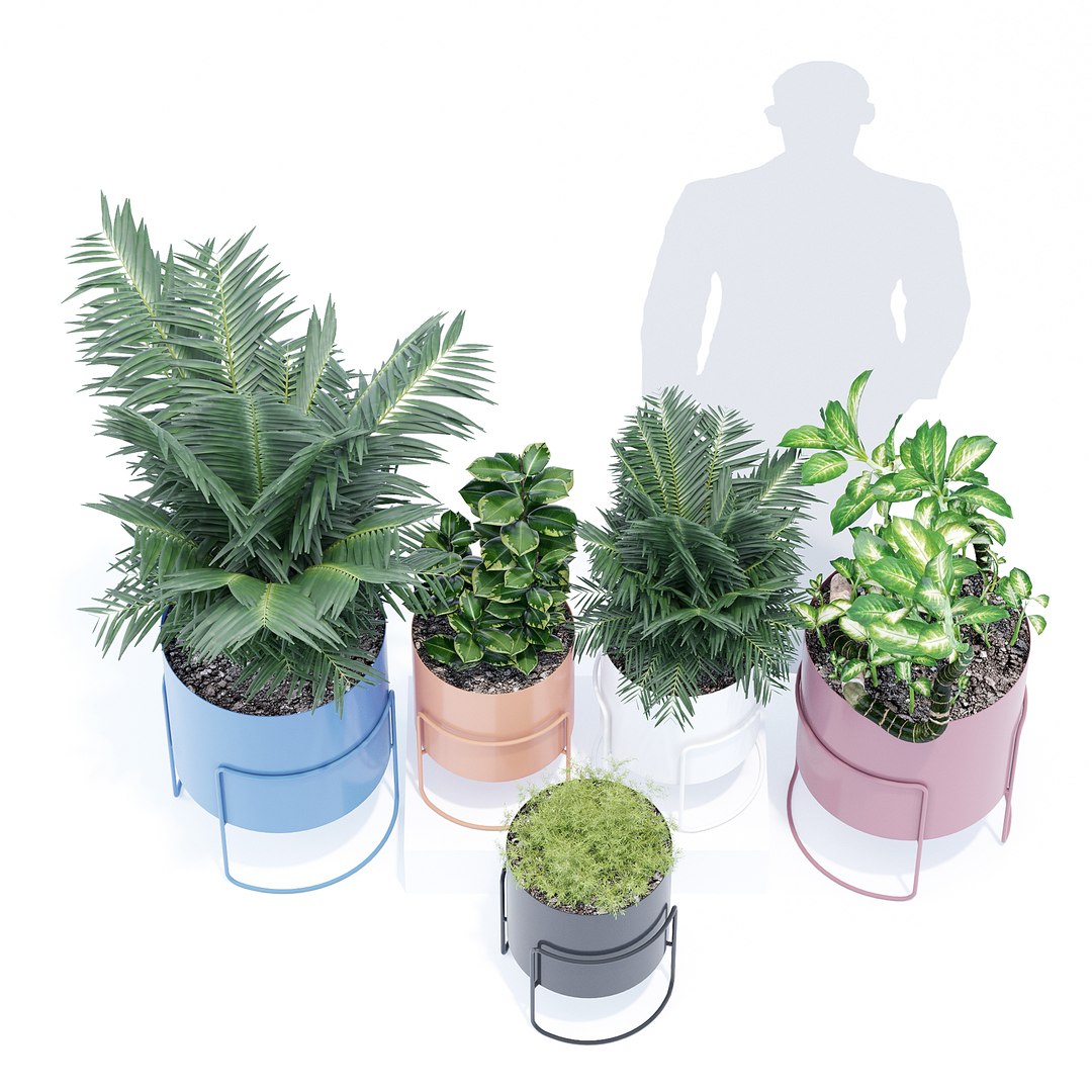 ivy chubby pot 3D model https://p.turbosquid.com/ts-thumb/Vt/EaOCaK/QdM5Hu2o/qs_2/jpg/1559588906/1920x1080/fit_q87/bd1c859879d7fd3983932aa8ff2dba57ede193d4/qs_2.jpg