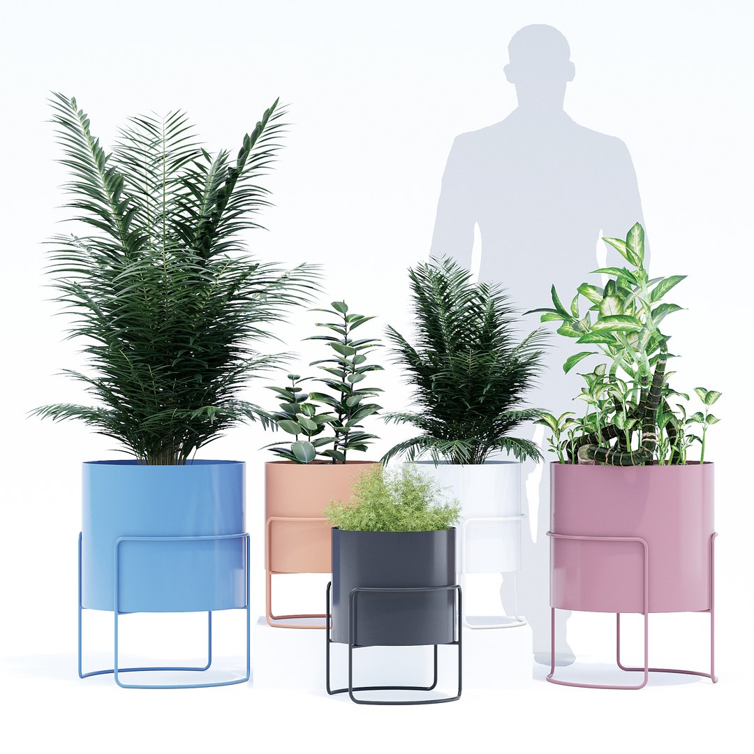 ivy chubby pot 3D model https://p.turbosquid.com/ts-thumb/Vt/EaOCaK/zWkv9BrD/qs_3/jpg/1559588885/1920x1080/fit_q87/b65e432ee59774230f08436bf22ce662c59ebc6e/qs_3.jpg