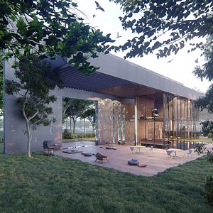 Modern house full project Revit and Lumion with 3d grass