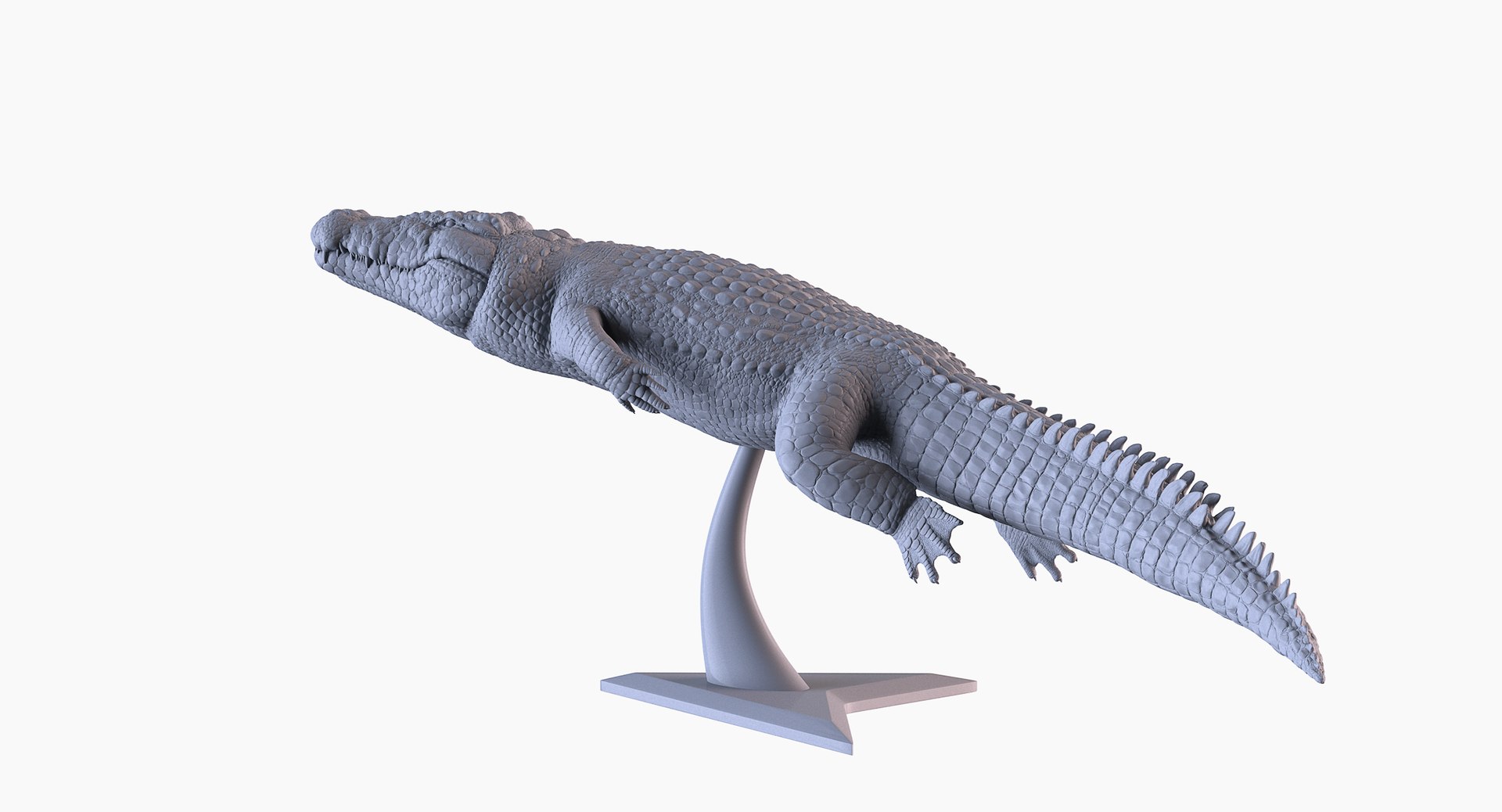 Crocodile Printing 3d Model Turbosquid 1647366