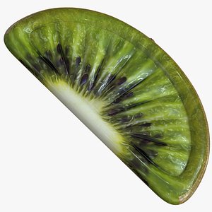 Kiwi Float Buoy 3D model