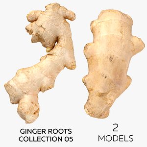 Ginger Roots Collection 05 - 2 models 3D