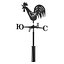 3D Weathervane Rooster