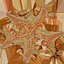 Common Starfish 01