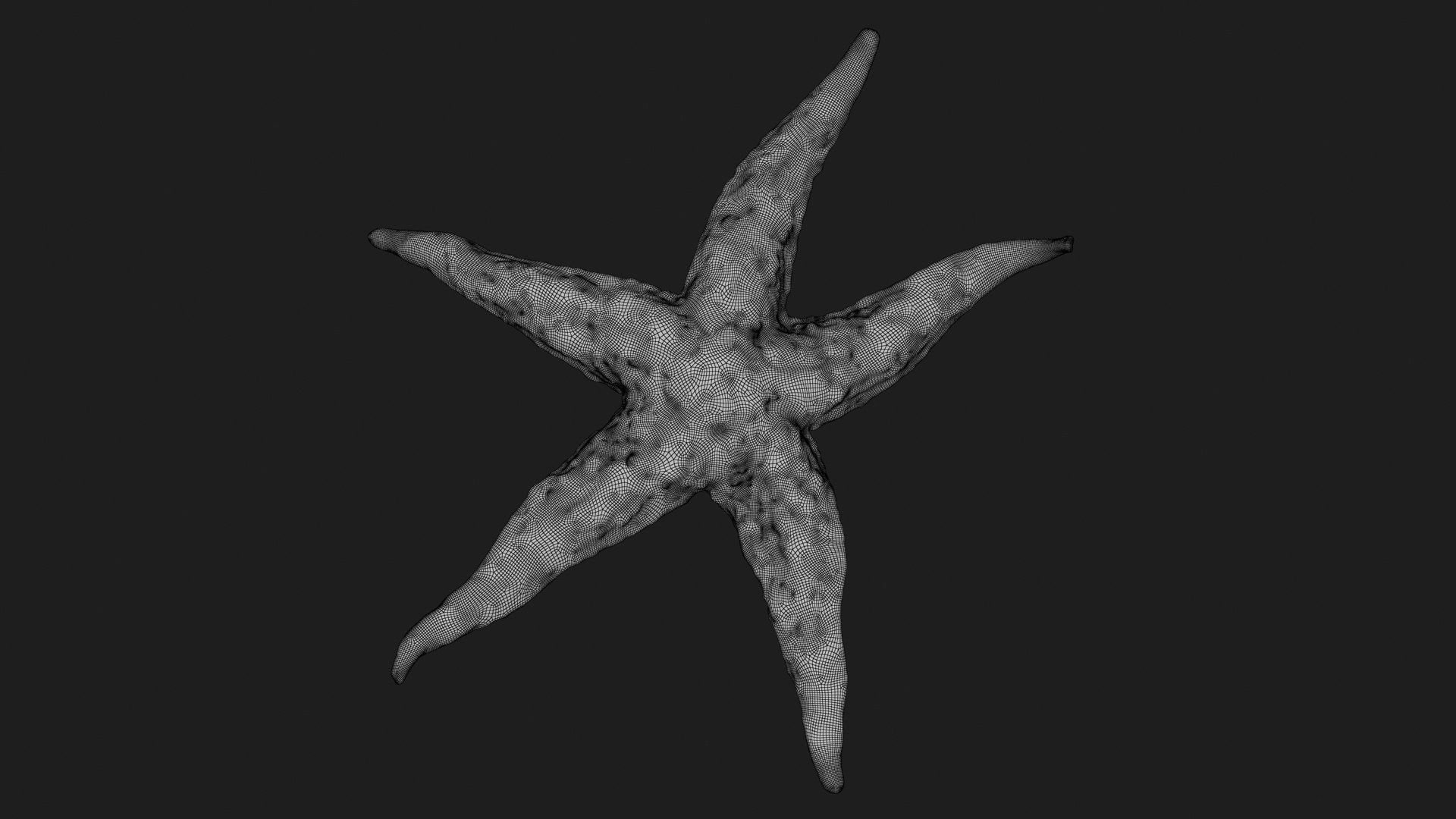 Common Starfish 01 3D model https://p.turbosquid.com/ts-thumb/Vt/pouF67/Kf/commonstarfish1_g0003/jpg/1733115499/1920x1080/fit_q87/064caa2794c678aed1d66a619271550ef9f491a5/commonstarfish1_g0003.jpg