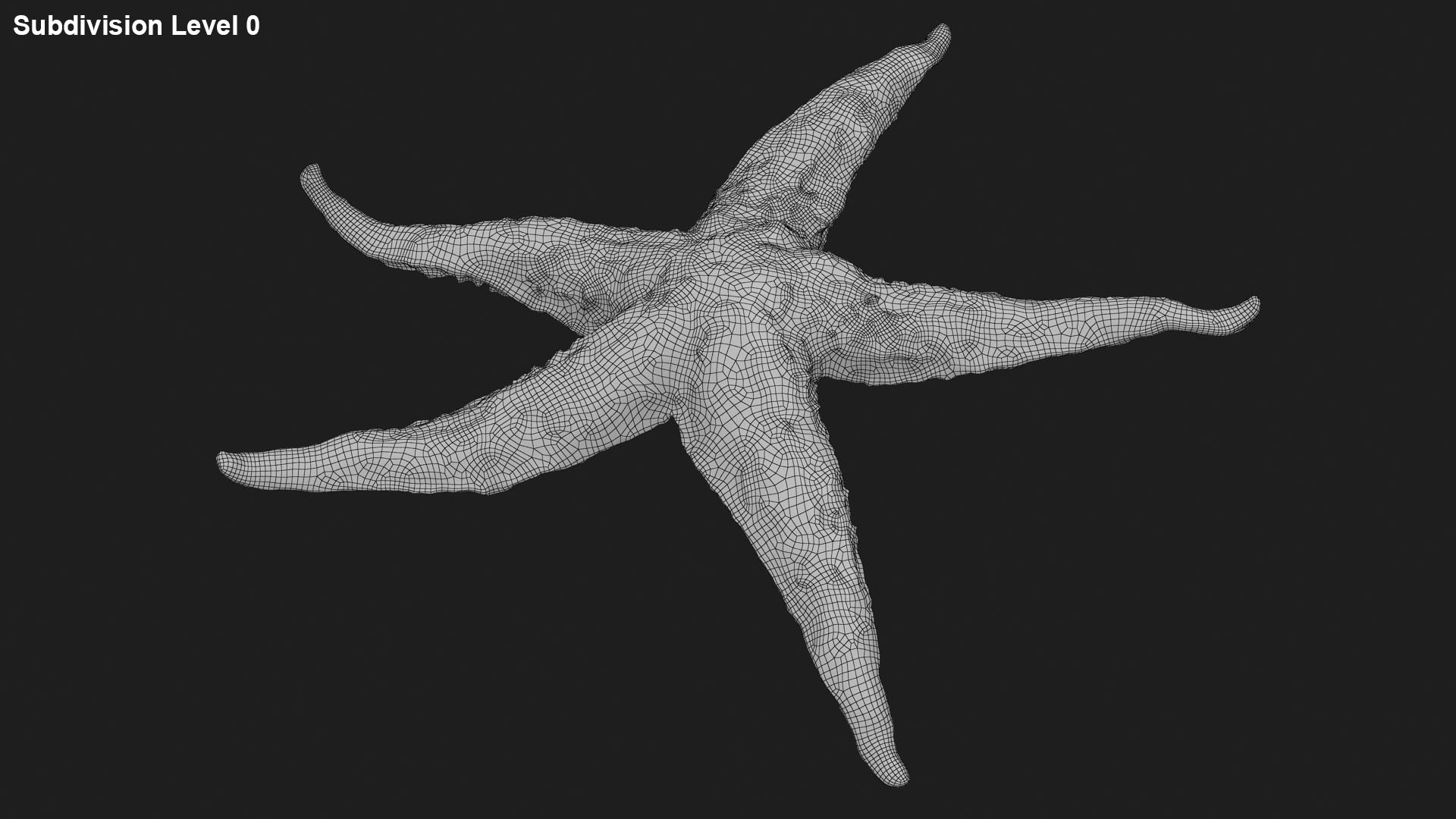 Common Starfish 01 3D model https://p.turbosquid.com/ts-thumb/Vt/pouF67/Oe/commonstarfish1_g0001/jpg/1733115497/1920x1080/fit_q87/bef8bb2adf27510706d03c9188e95f509939236b/commonstarfish1_g0001.jpg