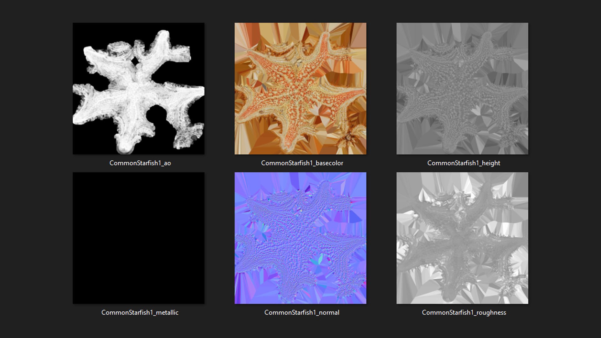 Common Starfish 01 3D model https://p.turbosquid.com/ts-thumb/Vt/pouF67/ab/commonstarfish1_d0005/jpg/1733115497/1920x1080/fit_q87/cf617178ee0d9f28ba62c63df8de2b5b7dda36ee/commonstarfish1_d0005.jpg