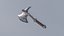 Medieval Meele Weapons